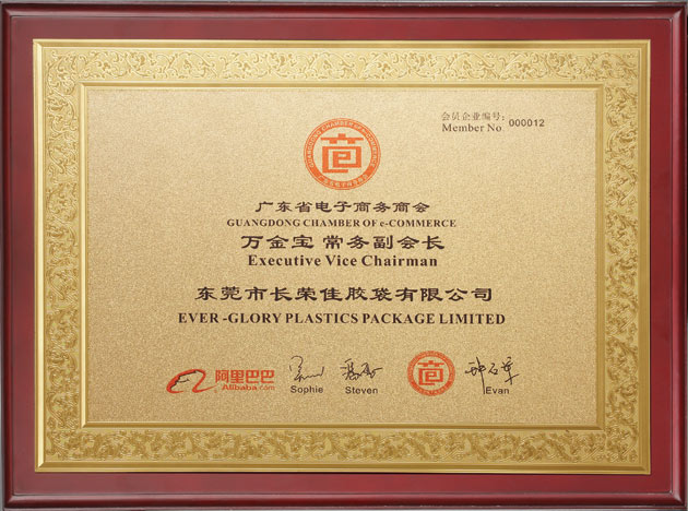 廣東電子商務常務副會長單位