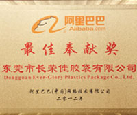 阿里巴巴最佳奉獻獎